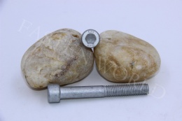 Allen Bolt