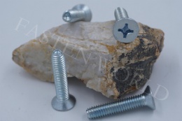 Triangular tooth tapping screws