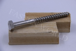Hexagon head wood screws