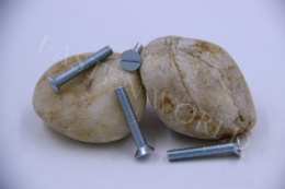 Slotted mechanical screw