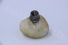 Auto-nut-051