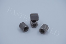 Auto-nut-013