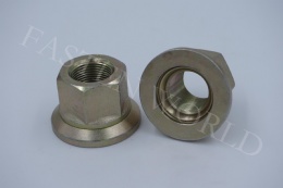 Auto-nut-001